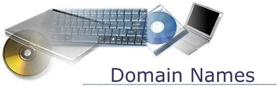  Domain Names   